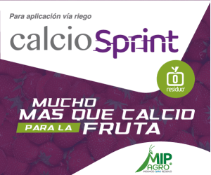 calcio-sprint-banner-HP-octubre